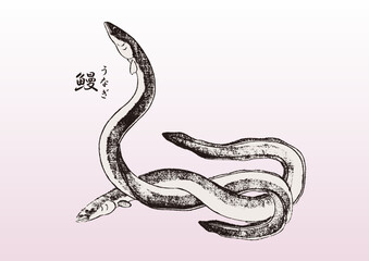 うなぎ 浮世絵 Ukiyoe eel	