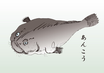 アンコウのイラスト