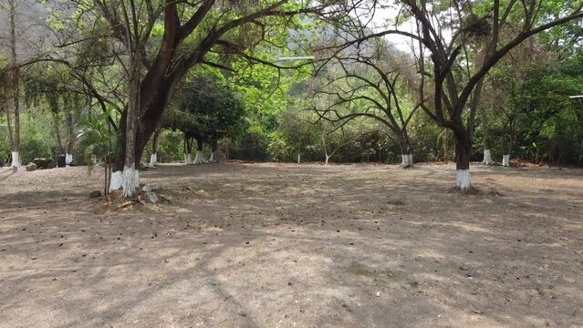 Rio micos, Huasteca Potosina