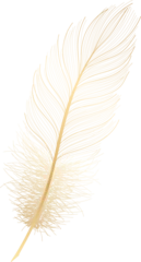Papier peint Plumes Gold feather hand drawn