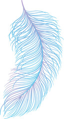 feather hand drawn