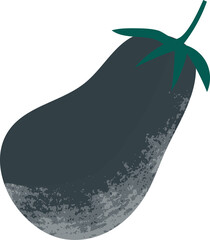 Fresh eggplant illustration
