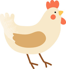Cute Chicken illustration