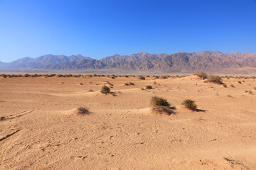 Sandy desert on the background of mountains and blue sky (Arava, Israel)