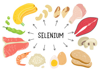 Selenium vector stock illustration. Food products with a high content of the mineral. tuna fish, meat, mushrooms, shrimps, brazil nuts, cashew, oats, bread, beans. Information poster. Food, diet.