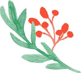 watercolor botanical 
