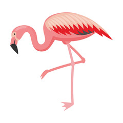 Naklejka premium Flamingo bird cartoon vector illustration. Pink bird flying, standing, eating, showing love. Vacation, wildlife