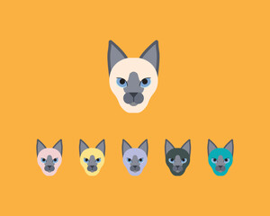 Siamese cat breed premium vector icon, Stylized Cute Cat head symbol premium icon, Premium Quality Kitten Element In Trendy Style, Vector of cat face icon colorful Logo, Sign vector illustartion.