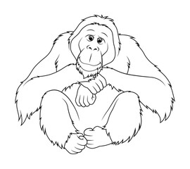 Orangutan Cartoon Animal Illustration BW