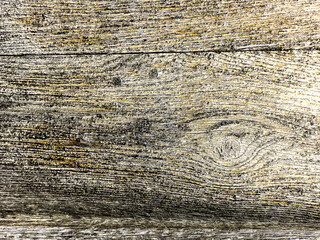 Wooden texture designed for your background