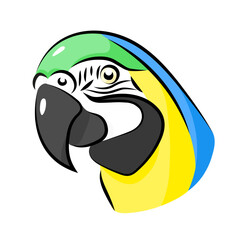 Papuga ilustracja parrot illustration - obrazy, fototapety, plakaty