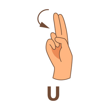 Hand showing letter U, sign language alphabet vector illustration. Finger in different position, language of deaf people