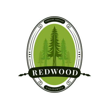 Tree logo Redwood for Forestry Services, such as work and tree planting