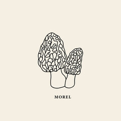 Line art morel mushroom illustration