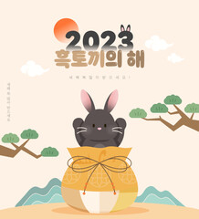 2023 Gyemyo Year Rabbit Character Illustration 
