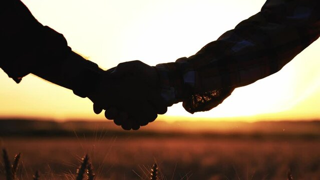 Men shake hands against background of summer sunset in wheat field on outdoor. Concept of business meeting, contract, male sign of respect, transaction, businessmen, greeting, tactility gestures.