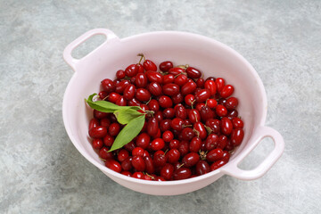 Ripe red dogwood berries in a bowl
