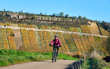 nice senior woman riding her electric mountain bike in the steep autumnal colored vineyards of...