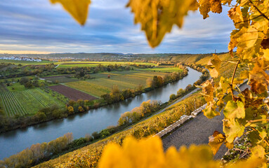 autumn in the steep slopes of the vineyards in Neckar valley near Hessigheim, Baden.Wuerttemberg,...