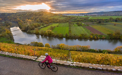 Fototapeta na wymiar nice senior woman riding her electric mountain bike in the steep autumnal colored vineyards of River Neckar Valley,Baden-Wuerttemberg, Germany