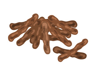 かりんとうのイラスト