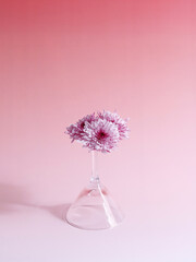 pink flower in vase