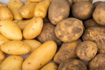 Comparison of washed and unwashed potatoes. Clean and dirty concept