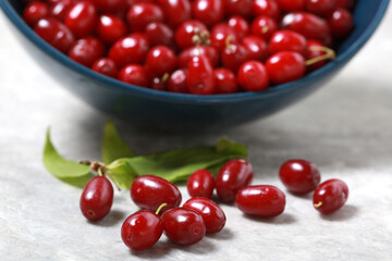 Close-up of a red ripe dogwood in a blue bowl on a light background