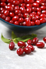 Close-up of a red ripe dogwood in a blue bowl on a light background