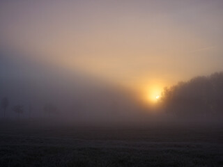 sunrise in the fog