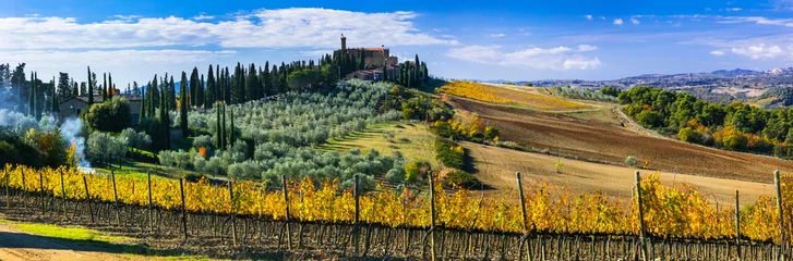 Foto op Plexiglas Golden vineyards of Tuscany. Castello di Banfi. panorama of with yellow autumn grapewine fields in wine region Toscana. Italy © Freesurf