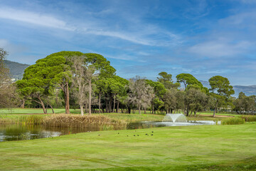 Paysage d'un terrain de golf avec sa pelouse et gazon de grands arbres et pins et un jet d'eau