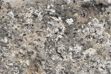 Background of the old paved sidewalk