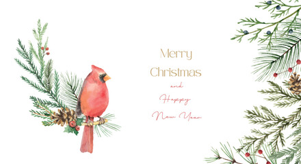 Fototapeta Watercolor vector Christmas card with cardinal bird, fir branches and place for text. obraz
