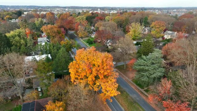 Upscale neighborhood in autumn fall foliage. American town and historic homes.
