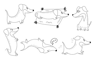 Hand drawn set of dogs in different poses and Different Situations.Cartoon cute dachshund.