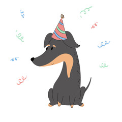 Illustration of a cute dachshund in a party hat. Birthday and congratulations concept