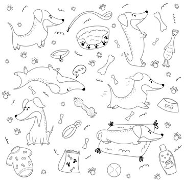 Hand drawn set of dogs in different poses and accessories for care, equipment, feeding. Hand drawn isolated doodle style vector illustration on white background