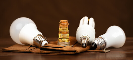 Light bulbs and euro money coins on a wallet. Energy savings, efficiency, save power or energy...