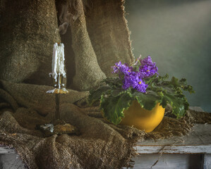 Still life with blooming violets and extinguished candles.
