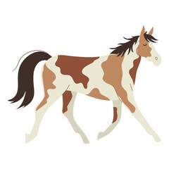 Cute hand drawn wild mustang horse in flat style, isolated vector illustration
