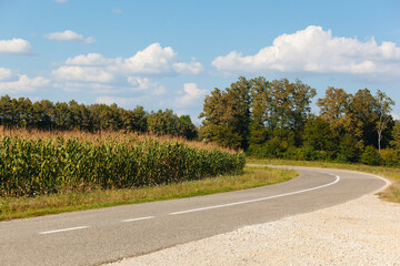 Bend int the road with corn field on one side, and trees on the other, sunny day, blue sky with white clouds