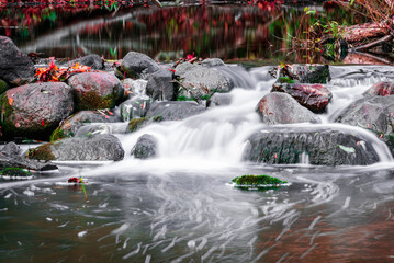 Old dead tree over small rippling stream.Long exposure of stream with downed trees forming small...