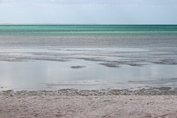 shell beach at shark bay in australia