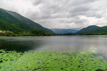 A lake next to a forrest hill in lago di lago, Italy with lily  pads