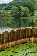 A lake next to a forrest hill in lago di lago, Italy with lily  pads