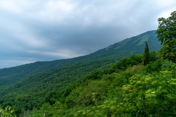 A forrest hill against a clouded sky in Aviano, Italy
