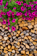 Chopped wood and beautiful flowers in alps, Sauris, Italy