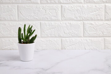 Marble table mockup with flower
