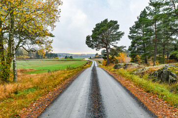 Narrow gravel road in the countryside